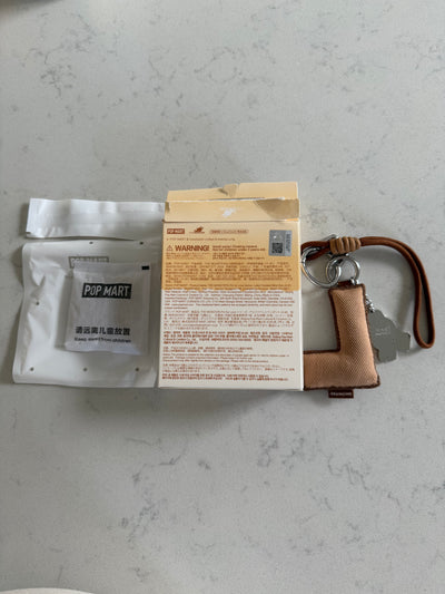 Pop Mart Labubu The Monsters Pin for Love Letter Pendant L Keychain USA New