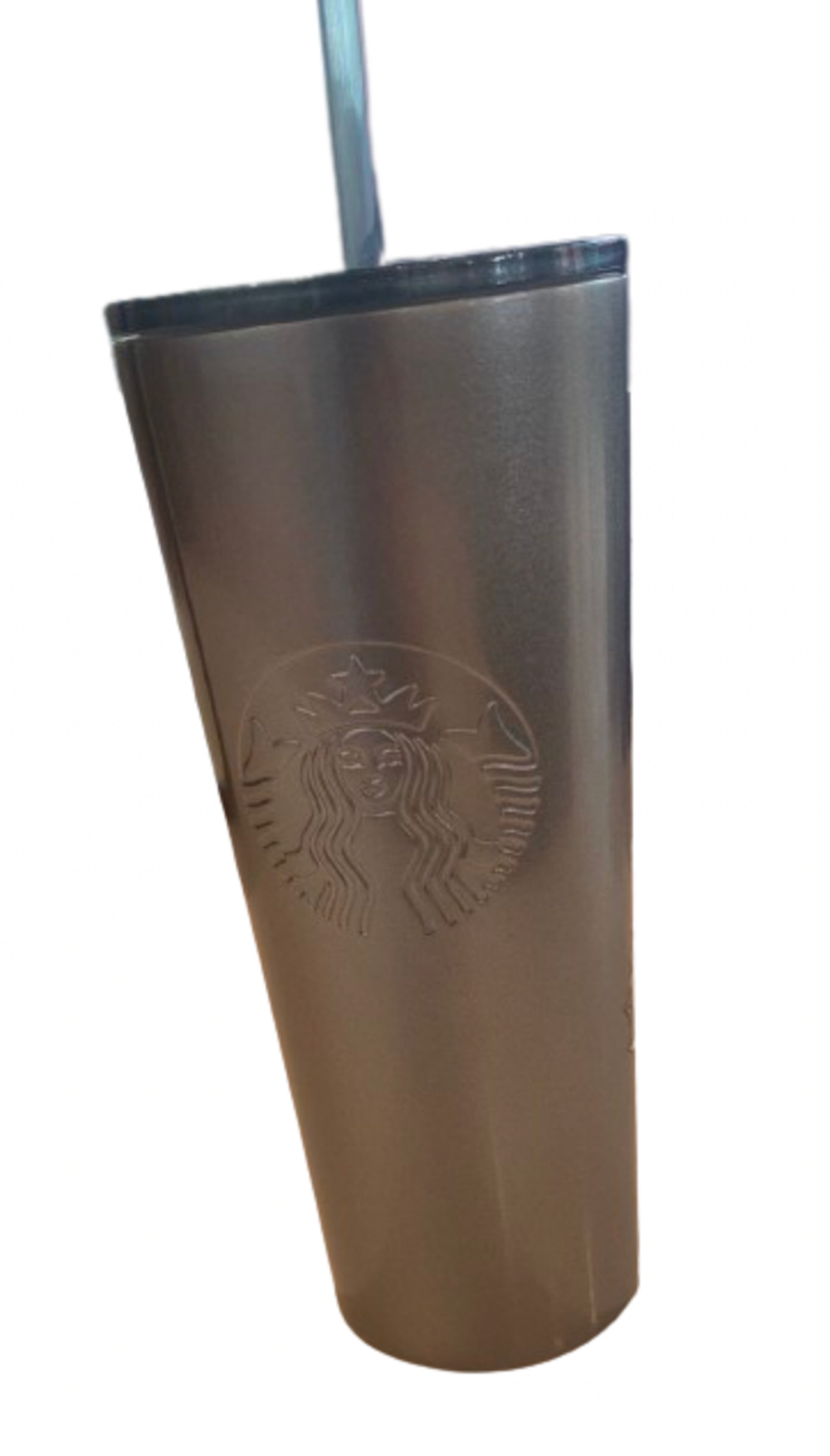 Disney Starbucks Epcot Icons Metal Tumbler Cup with Straw New