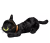 Disney Parks Halloween Hocus Pocus Thackery Binx Black Cat Plush New with Tag