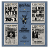 Universal Studios Harry Potter Magnet Set By MinaLima Daily Prophet New With Tag