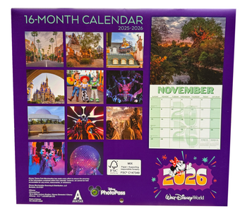 Disney Walt Disney World 2026 16 Month Calendar The Most Magical Place on Earth