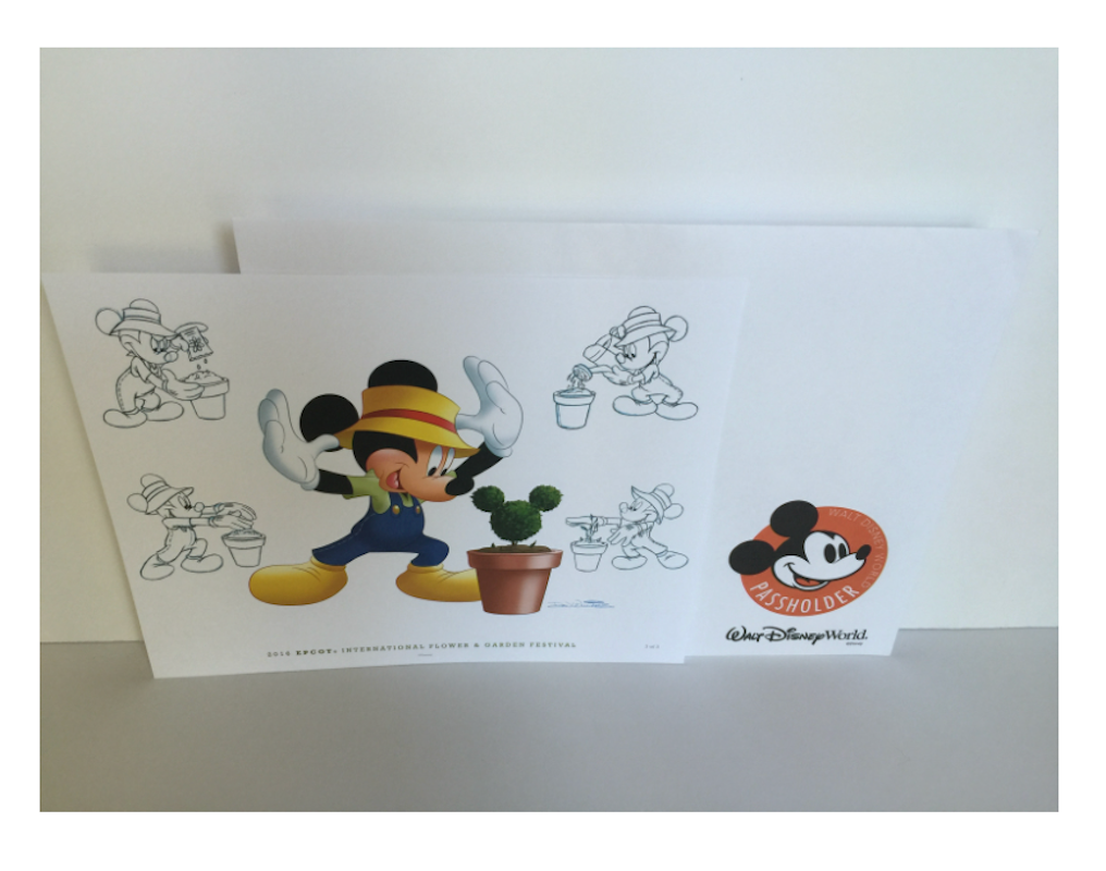 Disney Flower & Garden 2016 Don Ducky Williams Mickey Gardener Art Print New