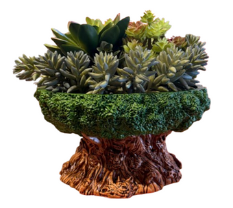 Disney Parks Animal Kingdom Tree of Life Succulent Planter New With Tag