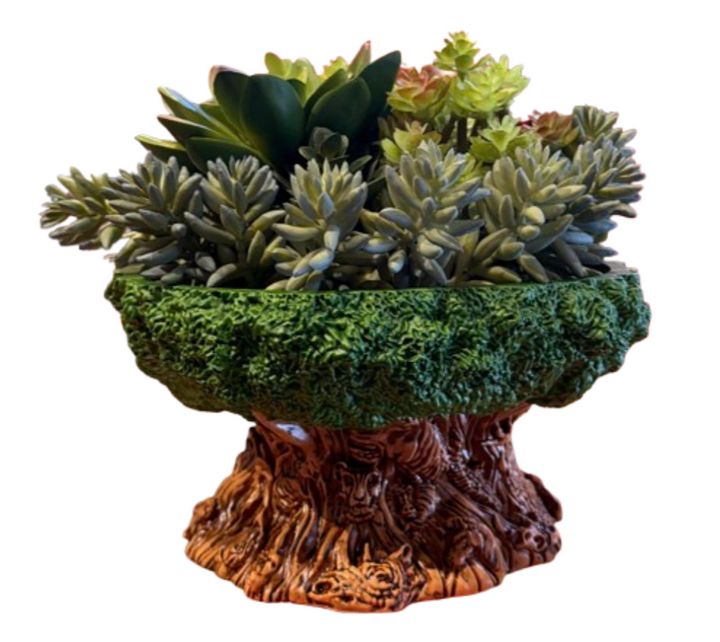 disney dumbo succulent Disney Parks Animal Kingdom Tree of Life Succulent Planter New With Ta – I  Love Characters
