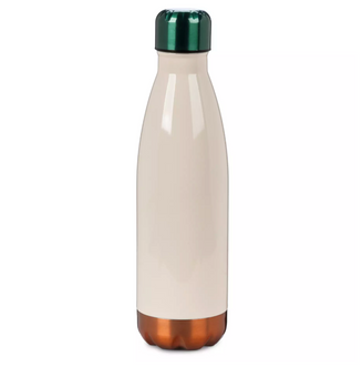 Disney Parks Love Our Disney Theme Parks Stainless Steel Water Bottle New