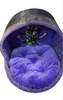 Disney Parks Haunted Mansion Doom Buggy Hitchiking Ghosts Pet Bed New with Tag