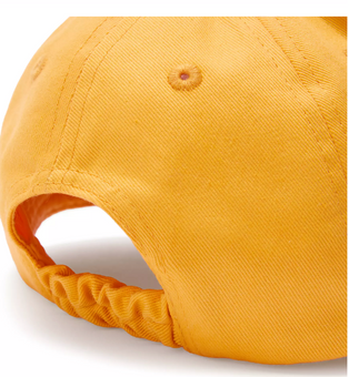 Disney Parks Winnie the Pooh Baseball Cap Hat for Kids New With Tag