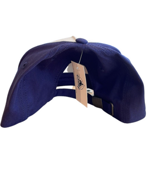 Disney EPCOT Food & Wine 2023 Festival Choose Your Course Baseball Hat New