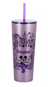 Disney Disneyland Stainless Steel Starbucks Tumbler with Straw New With Tag