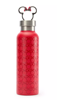 Disney Parks Minnie Mouse Icon Stainless Steel Water Bottle New