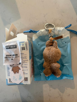 Pop Mart Labubu The Monsters Pin for Love Letter & Plush Keychain USA New