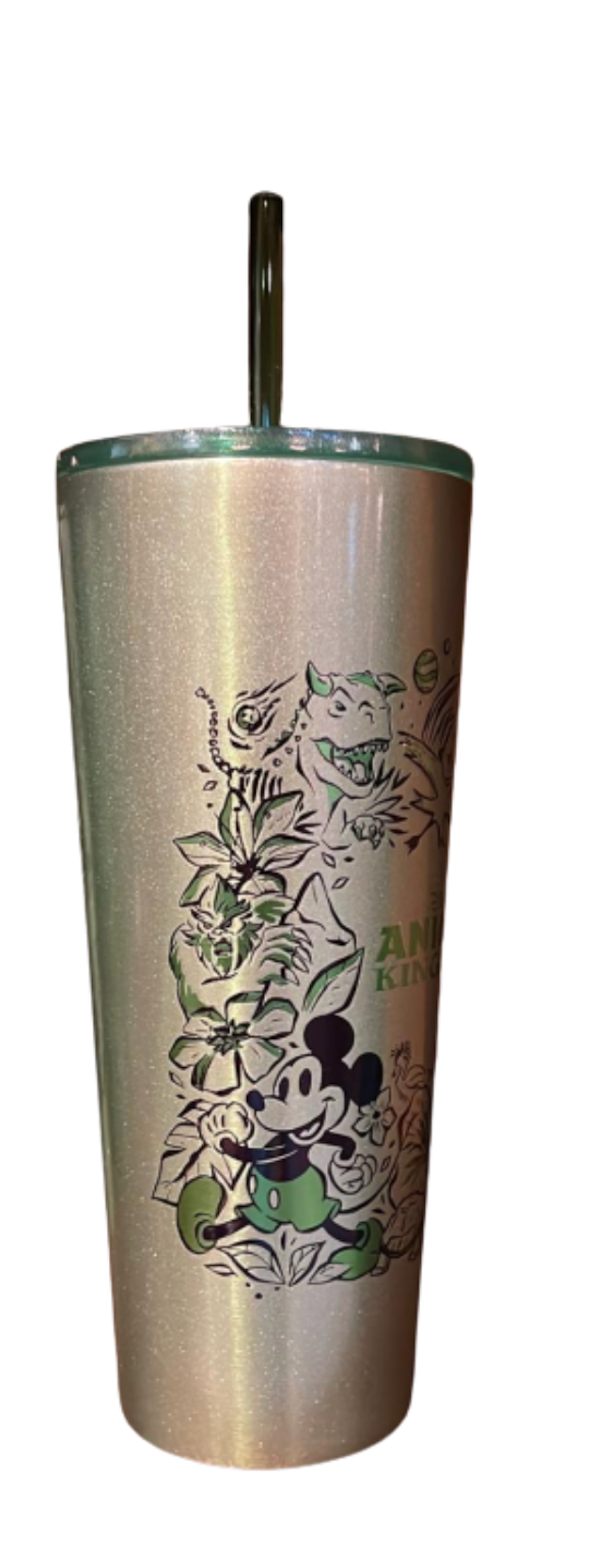 Disney Starbucks Animal Kingdom Icons Metal Tumbler Cup with Straw