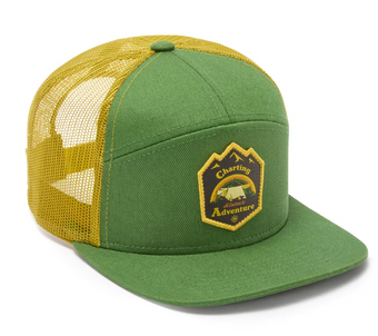 Disney Parks Up Adventure Baseball Cap for Adults Hat New With Tag