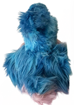 Universal Studios Harry Potter Epic universe Diricawl Creature Plush New W Tag