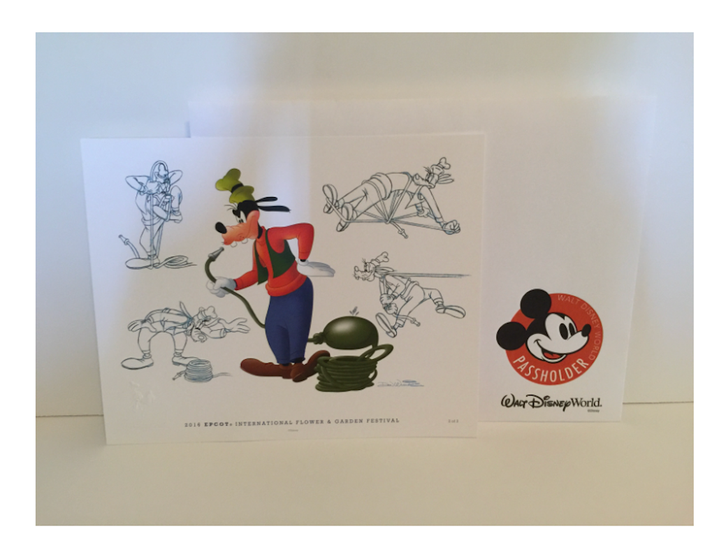 Disney Flower & Garden 2016 Don Ducky Williams Goofy Art Print New