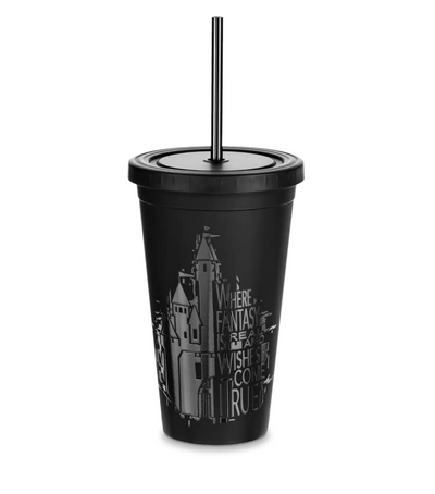 Disney Parks Fantasyland Castle fantasy is Real and Wishes Come True Tumbler New