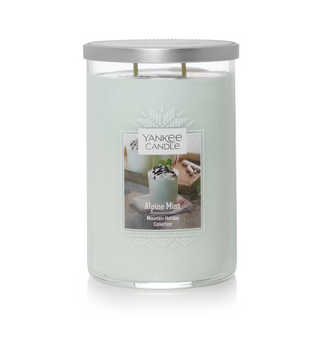 Yankee Candle Apine Mint Mountain Holiday 2-Wick Tumbler Jar Candle 22 oz New