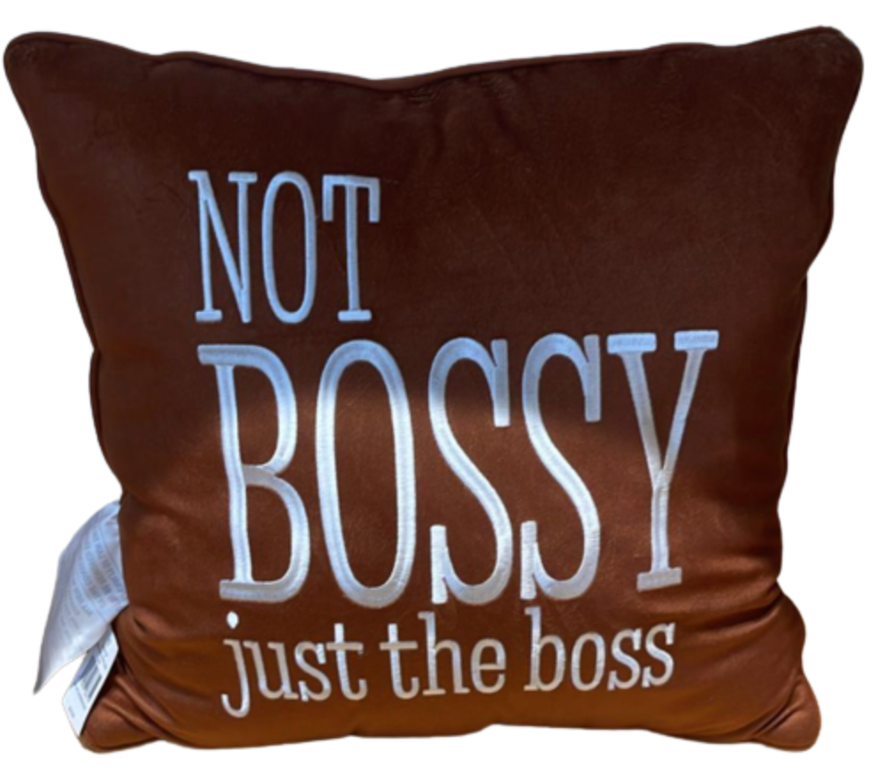 M&M's World Brown Character Not Bossy Just The Boss Pillow Plush New Tag