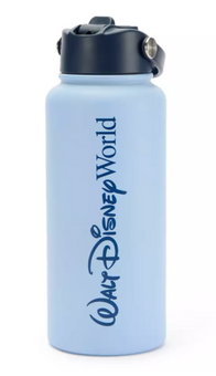 Disney Parks Walt Disney World 32 oz. Stainless Steel Water Bottle New with Tag