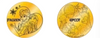 Disney Epcot Traders Frozen Anna and Elsa Collectible Coin Medallion New