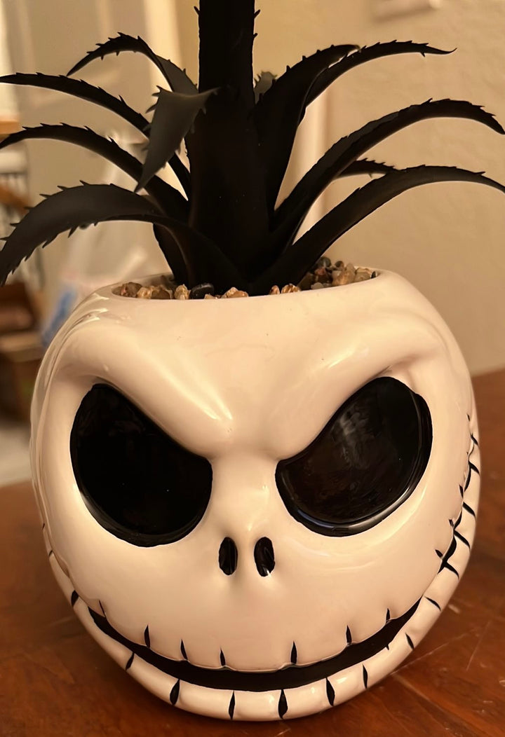 jack skellington succulent Disney Nightmare Before Christmas Jack Skellington Succulent Planter New