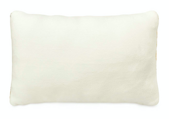 Disney Mickey and Minnie Christmas Holiday Celebrate the Season Throw Pillow New