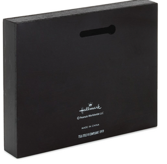 Hallmark Peanuts Charlie Brown and Snoopy Adventure Wood Quote Sign New