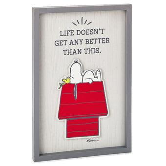 Hallmark Peanuts Snoopy Woodstock Life Doesn't Get Better Framed Wall Art New