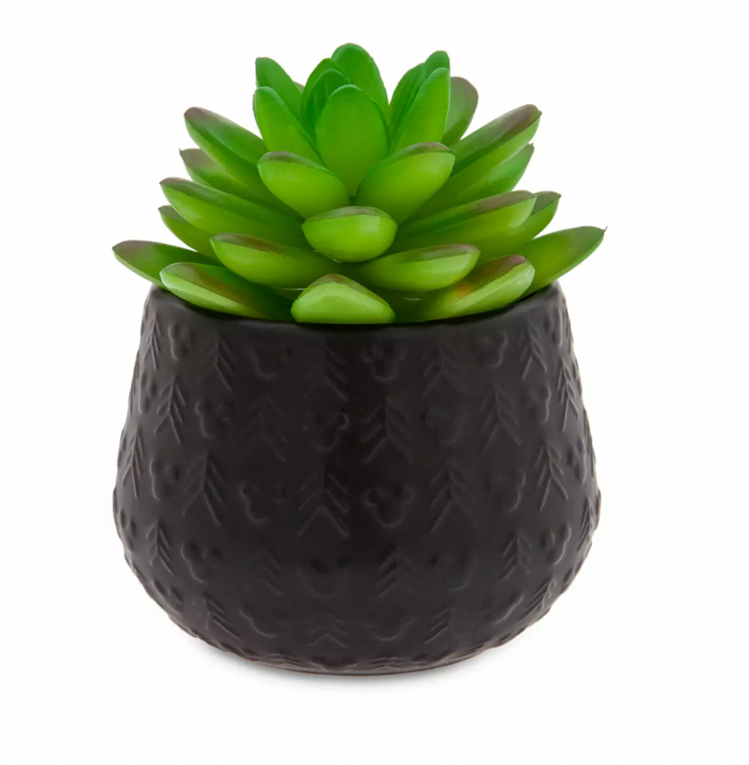 mickey succulent Disney Parks Mickey Homestead Artificial Succulent Potted Plant New – I Love Characters