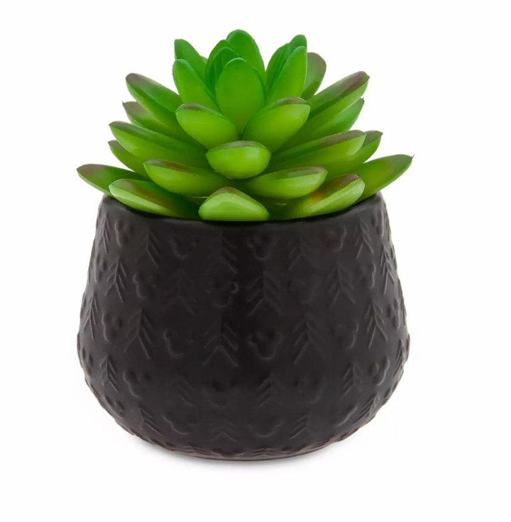 disney succulent plants Disney Parks Mickey Homestead Artificial Succulent Potted Plant New – I Love Characters