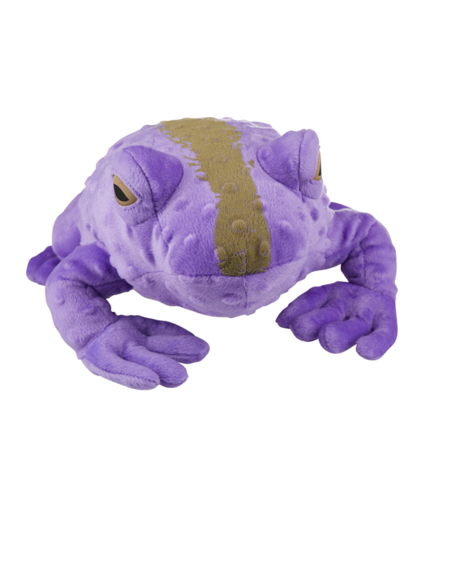 universal studios harry potter menagerie purple toad frog plush new with tags