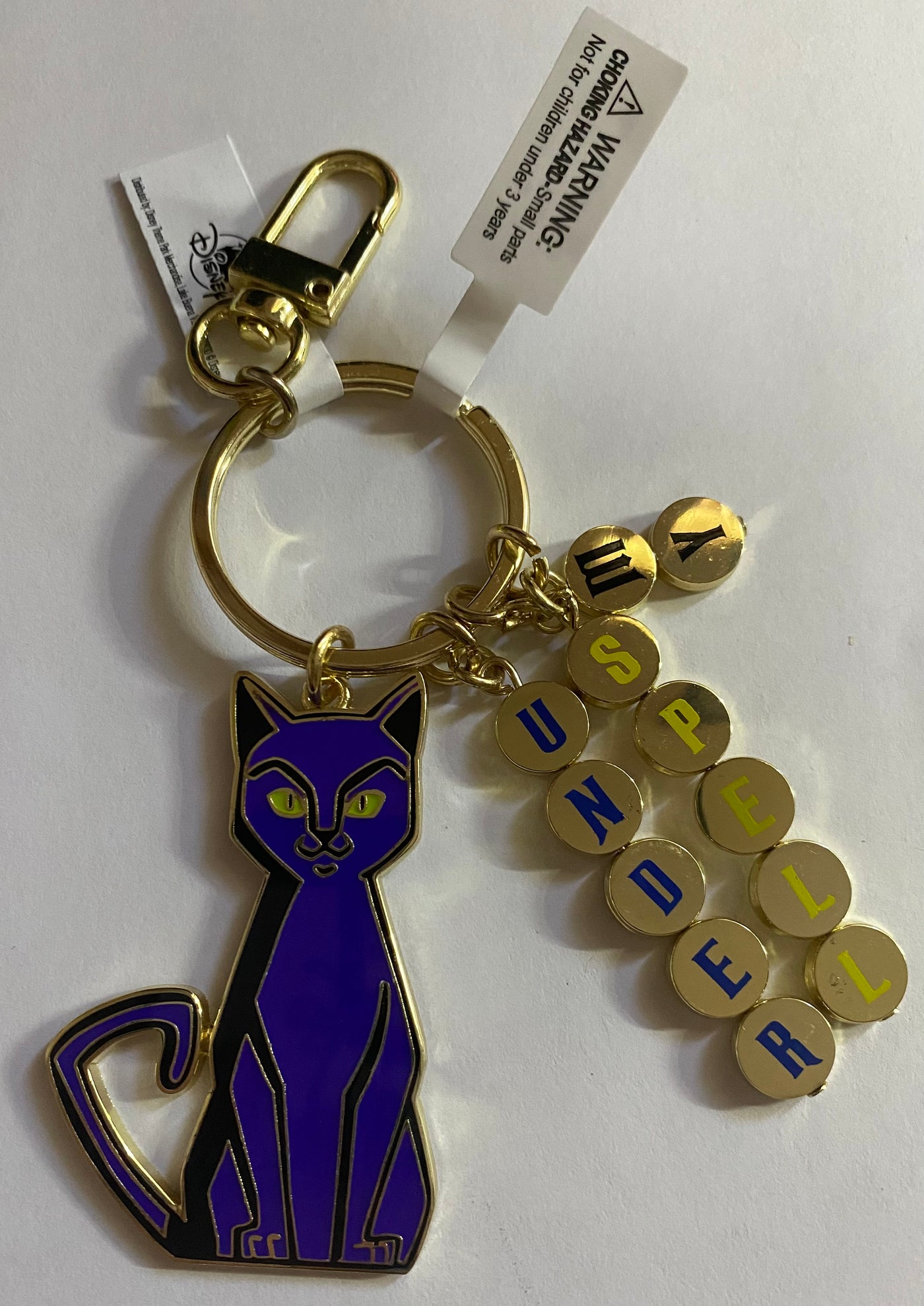 Disney Parks Halloween 2021 Hocus Pocus Binx Under My Spell Keychain New w Tag