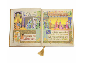 Disney Parks Princess Sleeping Beauty Replica Journal New