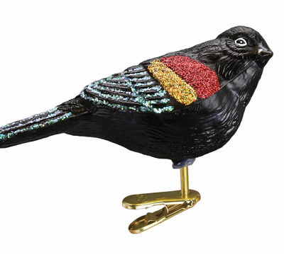 Old World Christmas Red-winged Blackbird Glass Christmas Ornament New with Box