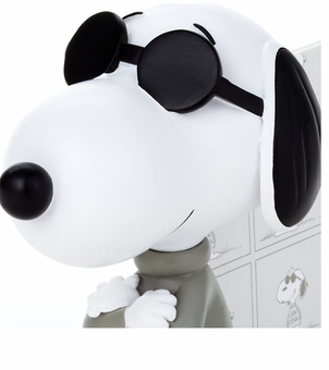 Hallmark Peanuts Dimensional Joe Cool Snoopy Picture Frame New