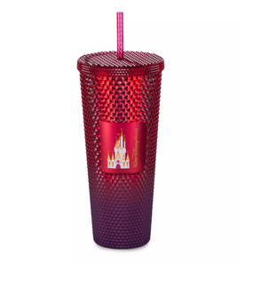 Disney Walt Disney World Starbucks Cinderella Castle Geometric Tumbler Straw New
