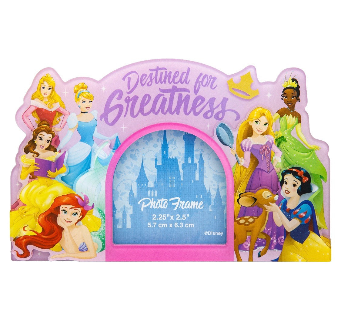 Disney Parks Princess Destined for Greatness Magnet New