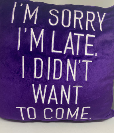 M&M's World Brown I'm Sorry I'm Late I Didn't Want To Come Pillow Plush New Tag