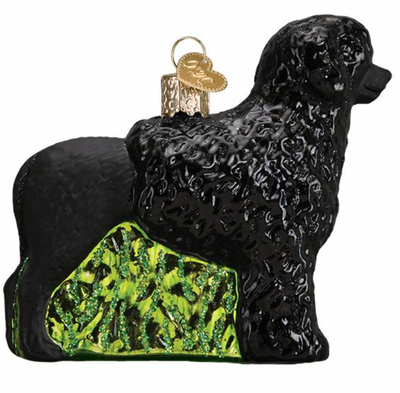 Old World Christmas Portuguese Water Dog Glass Christmas Ornament New with Box