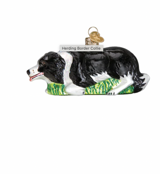 Old World Christmas Herding Border Collie Glass Christmas Ornament New with Box