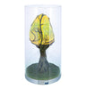 Disney Parks Avatar Vein Pod Figurine World of Pandora New with Box