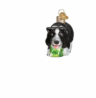 Old World Christmas Herding Border Collie Glass Christmas Ornament New with Box