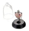 Harry Potter Love Potion Pendant and Glass Display New with Box