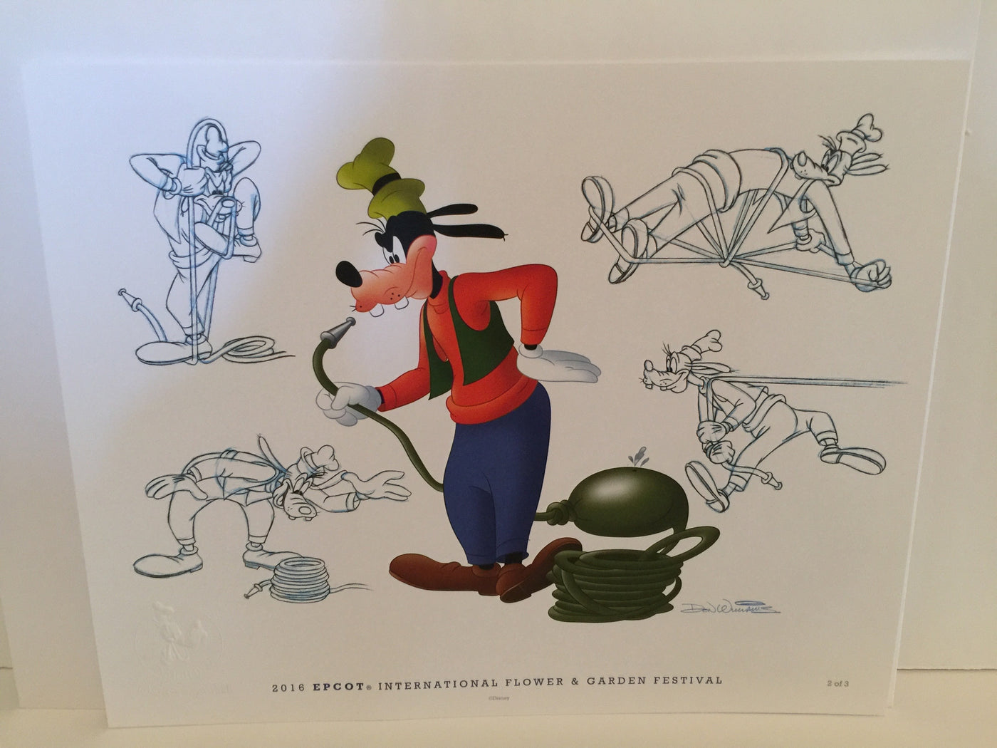 Disney Flower & Garden 2016 Don Ducky Williams Goofy Art Print New