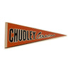 Universal Studios Harry Potter Chudley Cannons Pennant Pin New with Card