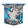 Universal Studios Quidditch Ravenclaw Magnet Wizarding World Harry Potter New