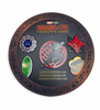 Disney Shang-Chi and the Legend of the Ten Rings Pin Set Limited New with Card