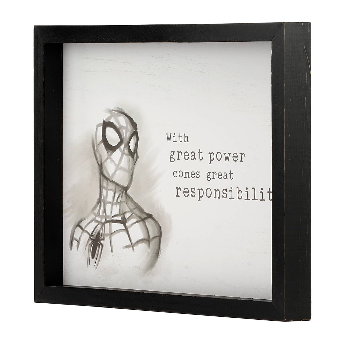 Disney Spider-Man Framed Wall Decor Great Power Comes Great Responsibility New