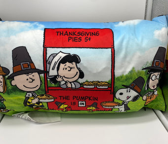 Peanuts Gang Snoopy Thanksgiving Pie Pumpkin Light Up Pillow New with Tag