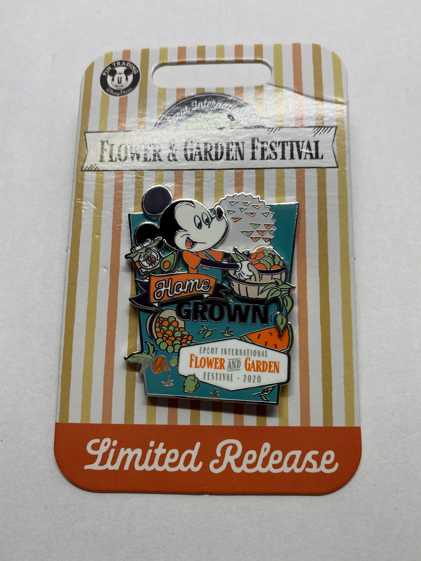 Disney Flower and Garden Festival 2020 Mickey Home Frown Pin Limited New w Card